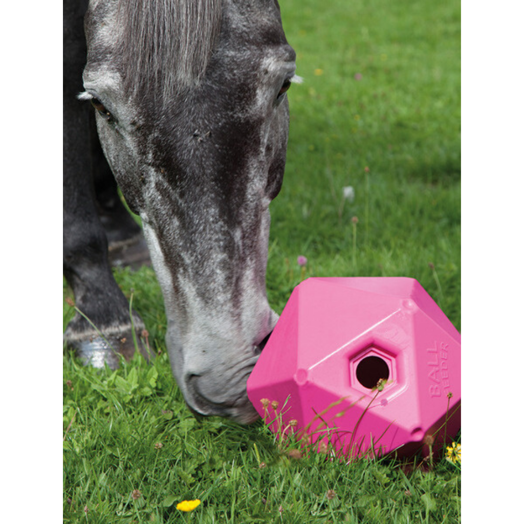 Horse treat outlet ball toy