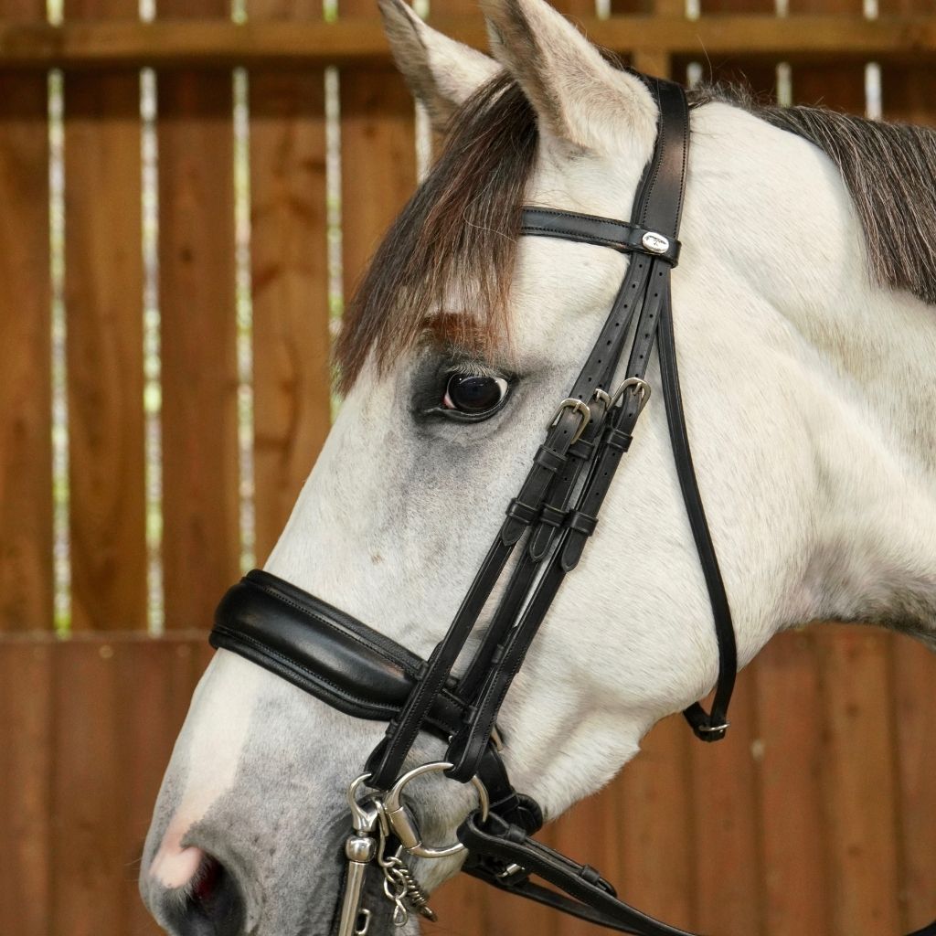 Dyon Rope Crank Drop Noseband 'D Collection