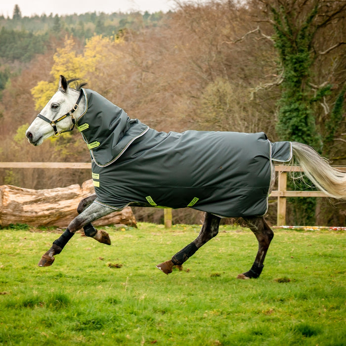 Amigo Hero Plus 600D Ripstop 100g Rug by Horseware Ireland