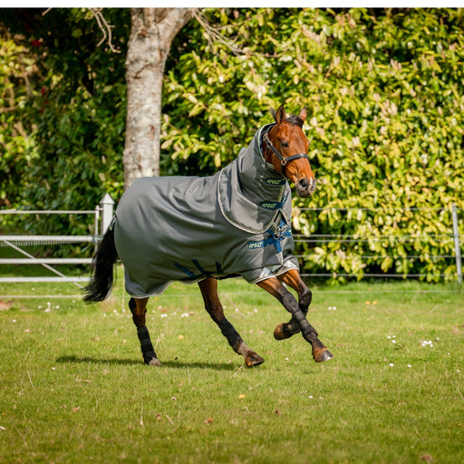 Amigo Bravo 12 Plus Medium 250g by Horseware Ireland