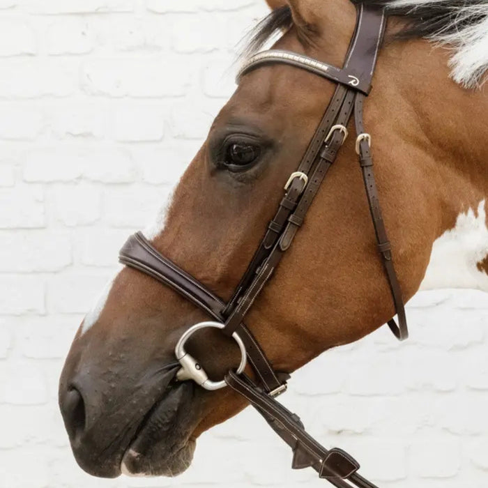 Dyon D Collection Signature Anatomic Noseband - No Flash