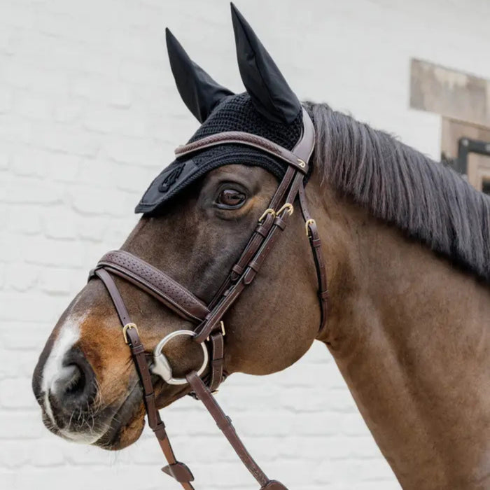 Dyon D Collection Plaited Flash Noseband Bridle With Crank