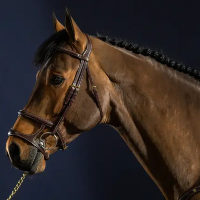 Dyon Collection Double Noseband Bridle