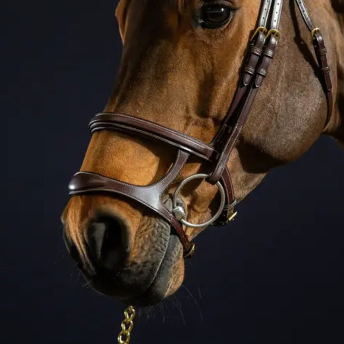 Dyon Collection Double Noseband Bridle