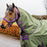 Amigo Hero Plus 600D Ripstop 100g Rug by Horseware Ireland