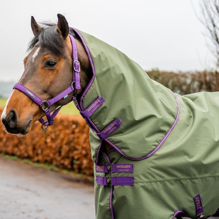 Amigo Hero Plus 600D Ripstop 100g Rug by Horseware Ireland