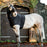 Rambo Slinky Hood by Horseware Ireland