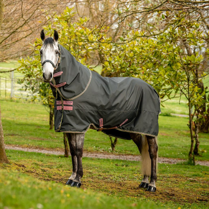 Amigo Hero Plus 600D Ripstop 0g Rain Sheet by Horseware Ireland