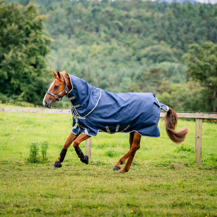 Amigo 1200D Plus Turnout 100g by Horseware Ireland Blue Silver