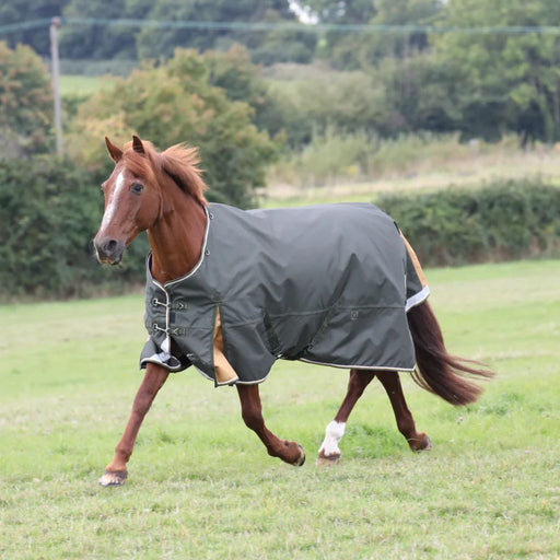 Shires Highlander Lite Blanket Green