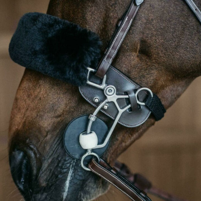 Dyon Hackamore Protection