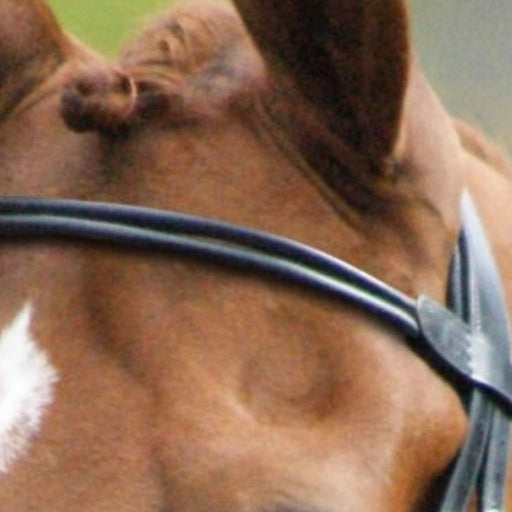 Dyon Dressage Collection Double Rolled Leather Browband