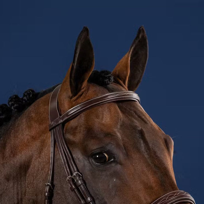 Dyon US Hunter Collection Fancy Stitch Padded Browband without Pin Brown