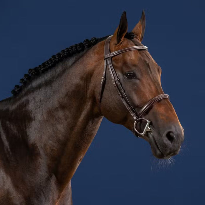 Dyon US Hunter Collection Cavesson Noseband Bridle