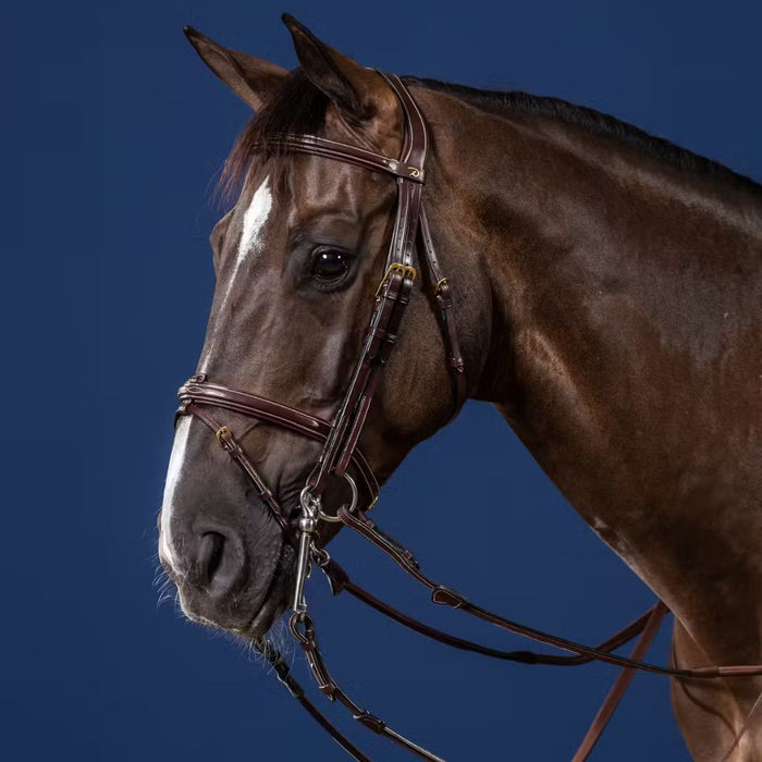 Dyon D Collection Flash Noseband Double Bridle Brown