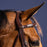Dyon New English Collection Signature Anatomic Flash Nose Bridle Brown