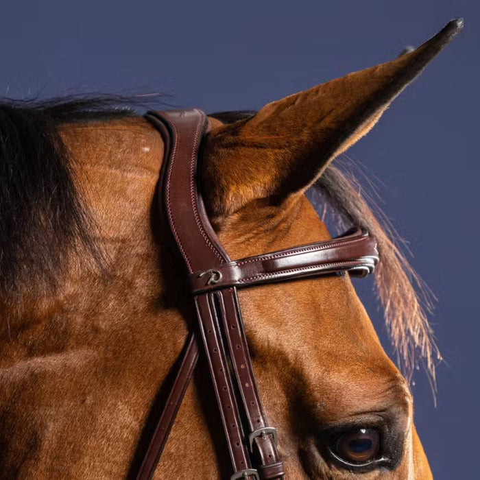 Dyon New English Collection Signature Anatomic Flash Nose Bridle Brown