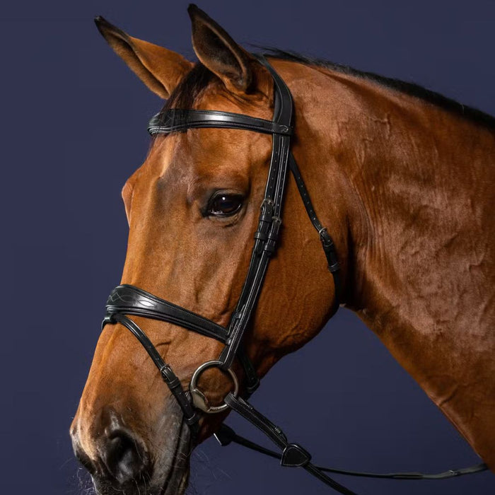Dyon New English Collection Signature Anatomic Flash Nose Bridle Black