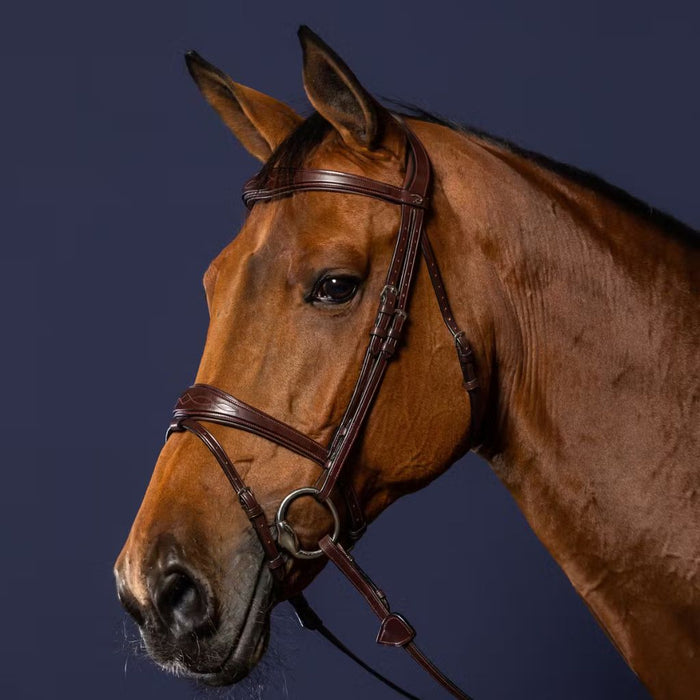 Dyon New English Collection Signature Anatomic Flash Nose Bridle brown