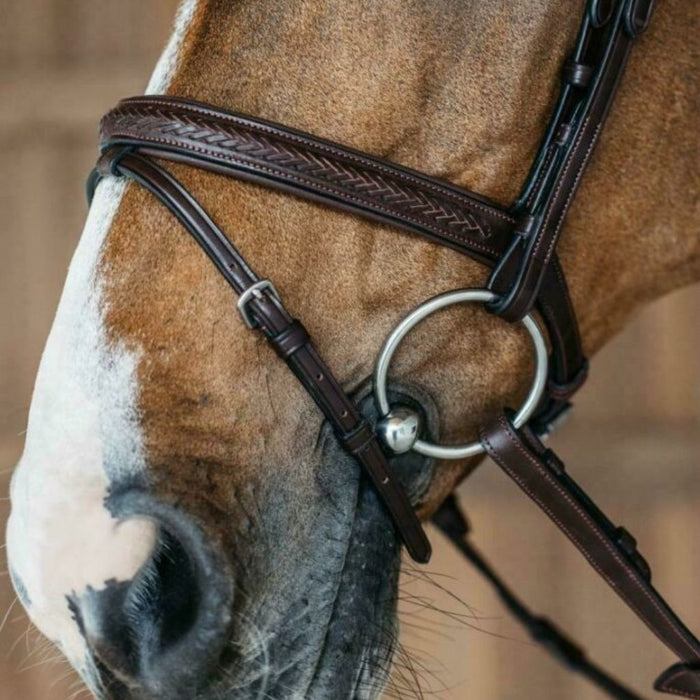 Dyon New English Collection Plaited Flash Noseband Bridle