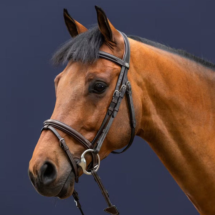 Dyon Working Collection Classic Bridle with Flash