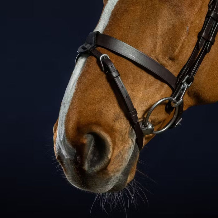 Dyon Working Collection Flat Leather Bridle with Snap Hooks