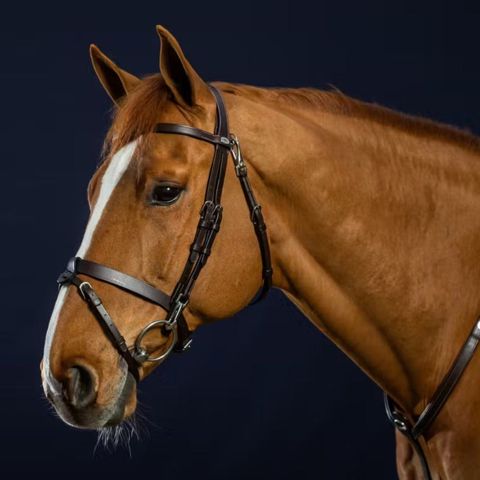 Dyon Working Collection Flat Leather Bridle with Snap Hooks Brown