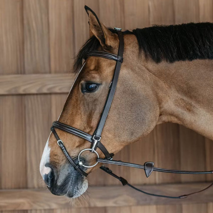 Dyon Working Collection Training Bridle