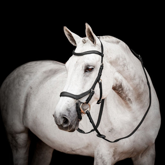 Horseware Micklem 2 Competition Bridle