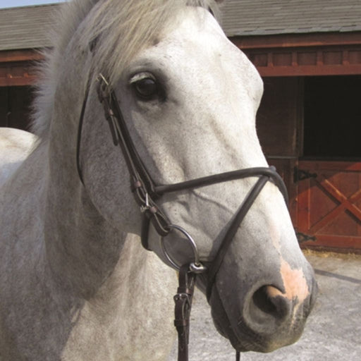 Nunn Finer Rubber Figure 8 Noseband Brown