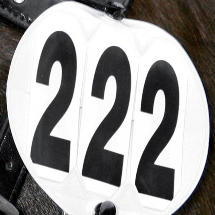 Waldhausen 3 Digit Quadrate Head Numbers - Pair