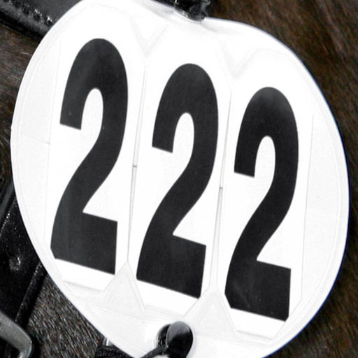 Waldhausen 3 Digit Round Head Numbers - Pair