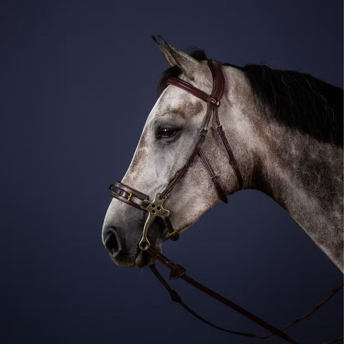 Dyon Hackamore Bridle New English Collection