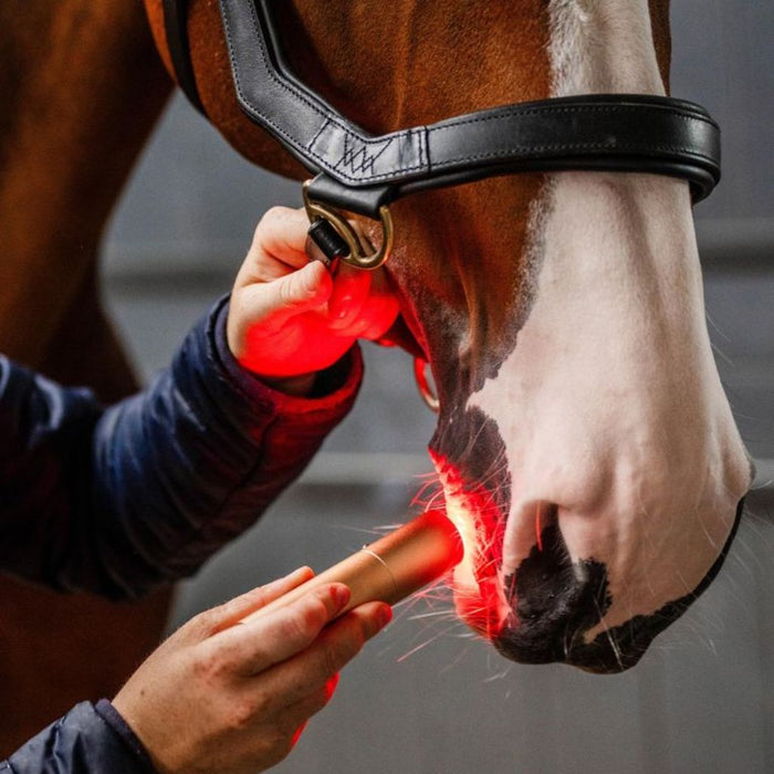 Horseware LED Red Light Therapy Wand