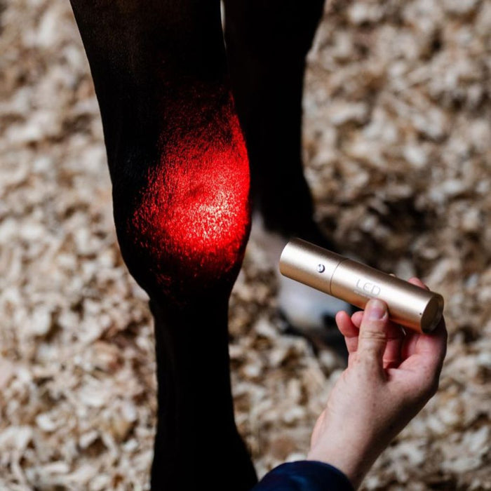 Horseware LED Red Light Therapy Wand