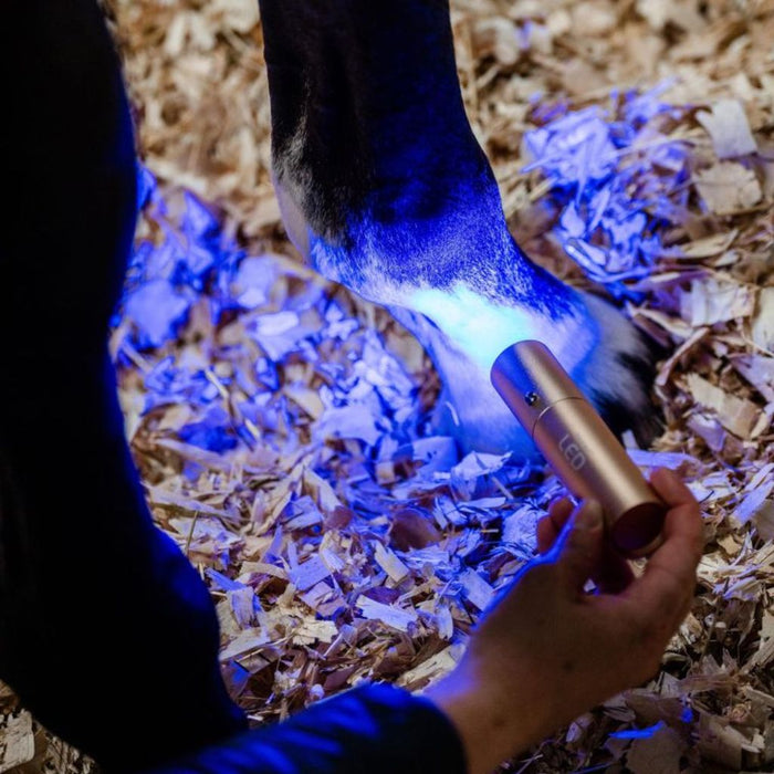 Horseware LED Red Light Therapy Wand