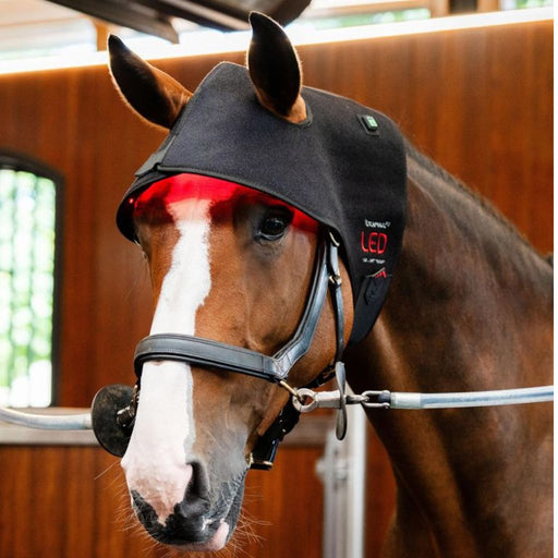 Horseware LED Red Light Therapy Poll Cap