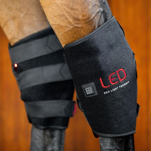 Horseware LED Red Light Therapy Hock Boot