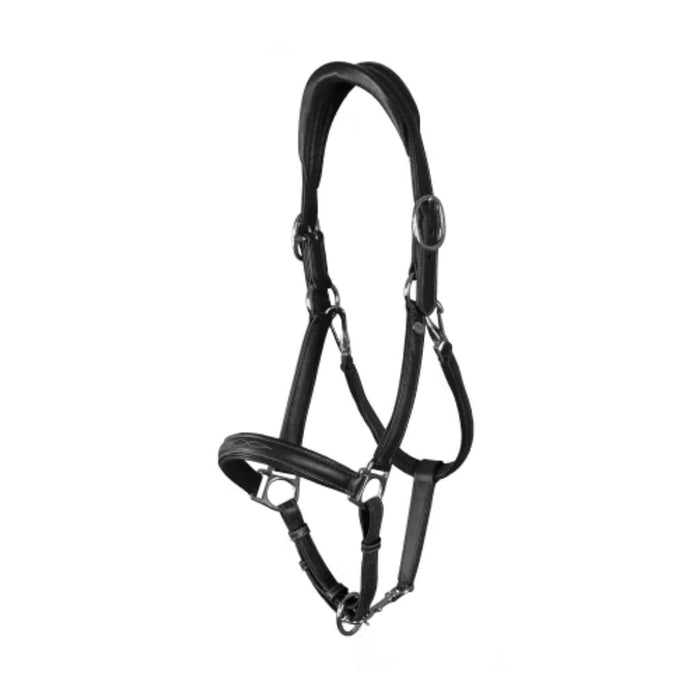 Dyon Working Collection Soft Leather Halter Black