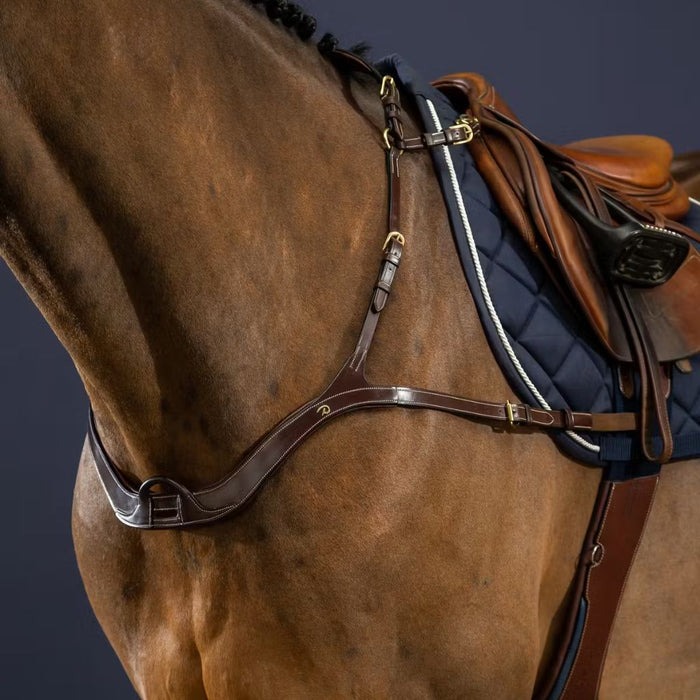 Dyon D Collection Anatomic Breastplate