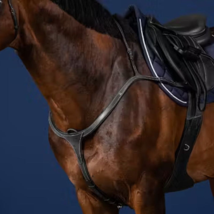 Dyon US Jumping Collection Long Bridge Breastplate Black