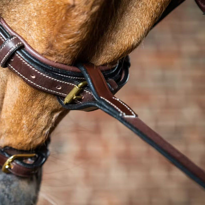 Dyon D Collection Standing Martingale Attachment Brown
