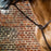 Dyon D Collection Standing Martingale Attachment Brown
