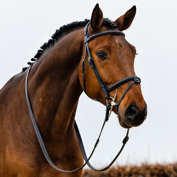 Trust Geneva Combined Noseband Bridle