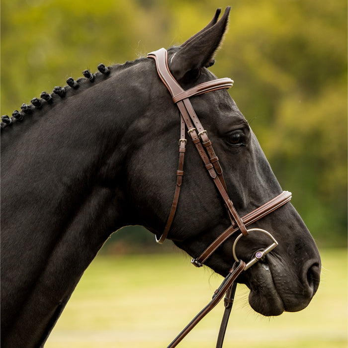 Trust Kentucky Hunter Bridle