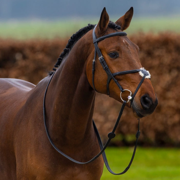 Trust Oslo Figure 8 Noseband Bridle