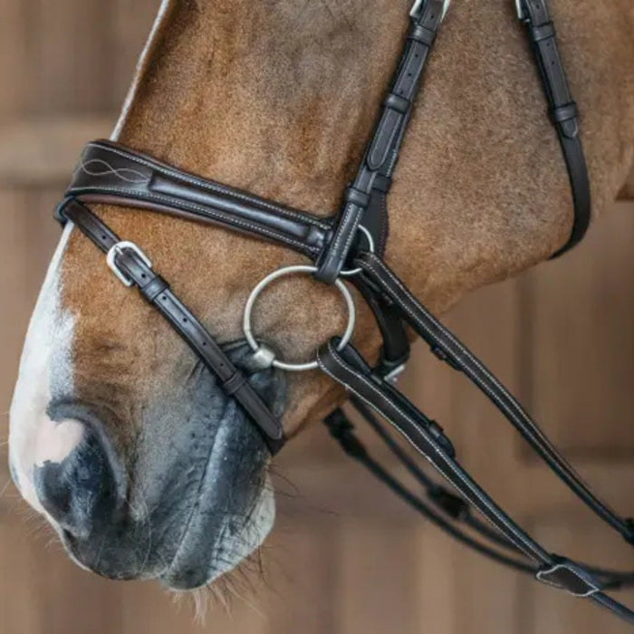 Dyon Working Collection Motion Bridle