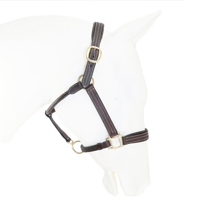 Padded Triple Stitch Leather Halter 1 — Equi Products
